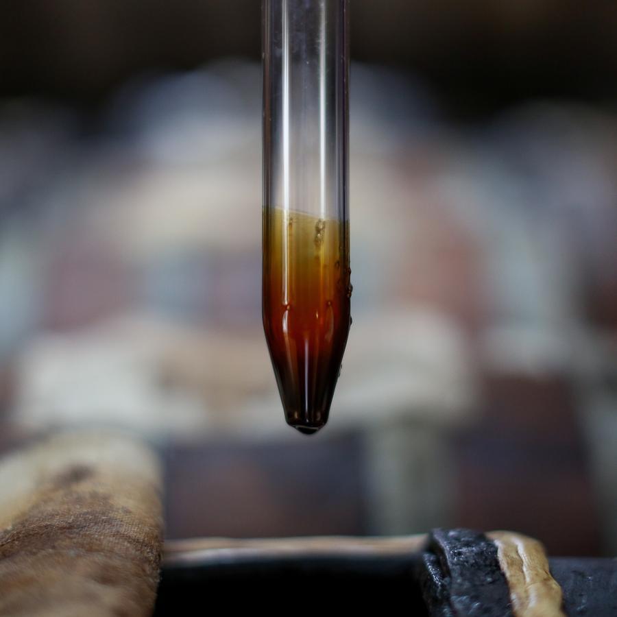 Le Dimore De Il Borgo Del Balsamico Albinea Exterior photo